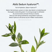 Abib Sedum Hyaluron Crème Hydrating Pot official English detail 2