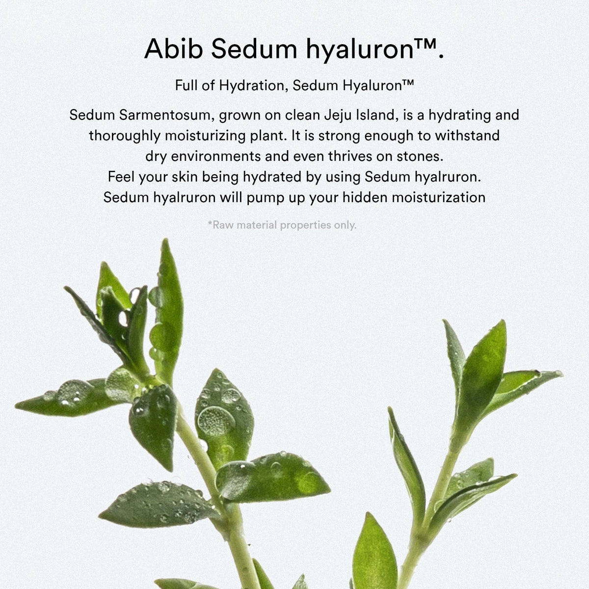 Abib Sedum Hyaluron Crème Hydrating Pot official English detail 2