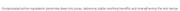 Abib Heartleaf TECA serum original Amazon capsule mechanism explanation