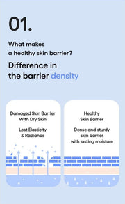 LANEIGE Water Bank Pepta-Panthenol Cream Moisturizer official information: 01. What makes a healthy skin barrier? Difference in the barrier density 
