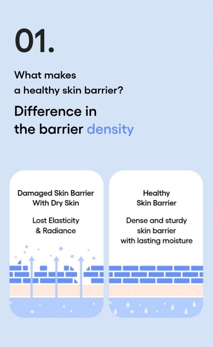 LANEIGE Water Bank Pepta-Panthenol Cream Moisturizer official information: 01. What makes a healthy skin barrier? Difference in the barrier density 