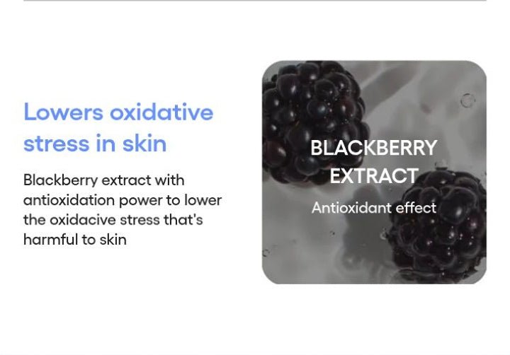 LANEIGE Water Bank UV Barrier Sunscreen official antioxidant ingredient