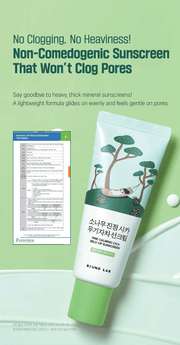 ROUND LAB Pine Calming Cica Mild-Up Sunscreen 40ml: non comedogenic original product information panel