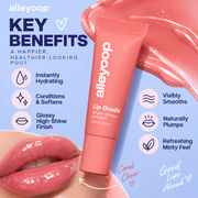 Alleyoop Lip Goals key benefits infographic