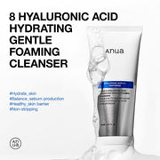 Anua 8 Hyaluronic Acid Hydrating Gentle Foaming Cleanser product overview