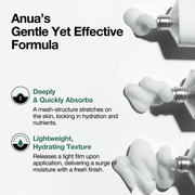 Anua Heartleaf Centella Red Spot Cream 30g texture information