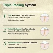 Anua Heartleaf LHA Moisture Peeling Gel triple peeling system
