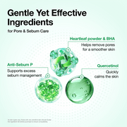 Anua Heartleaf Quercetinol Pore Deep Cleansing Foam official gallery image 8