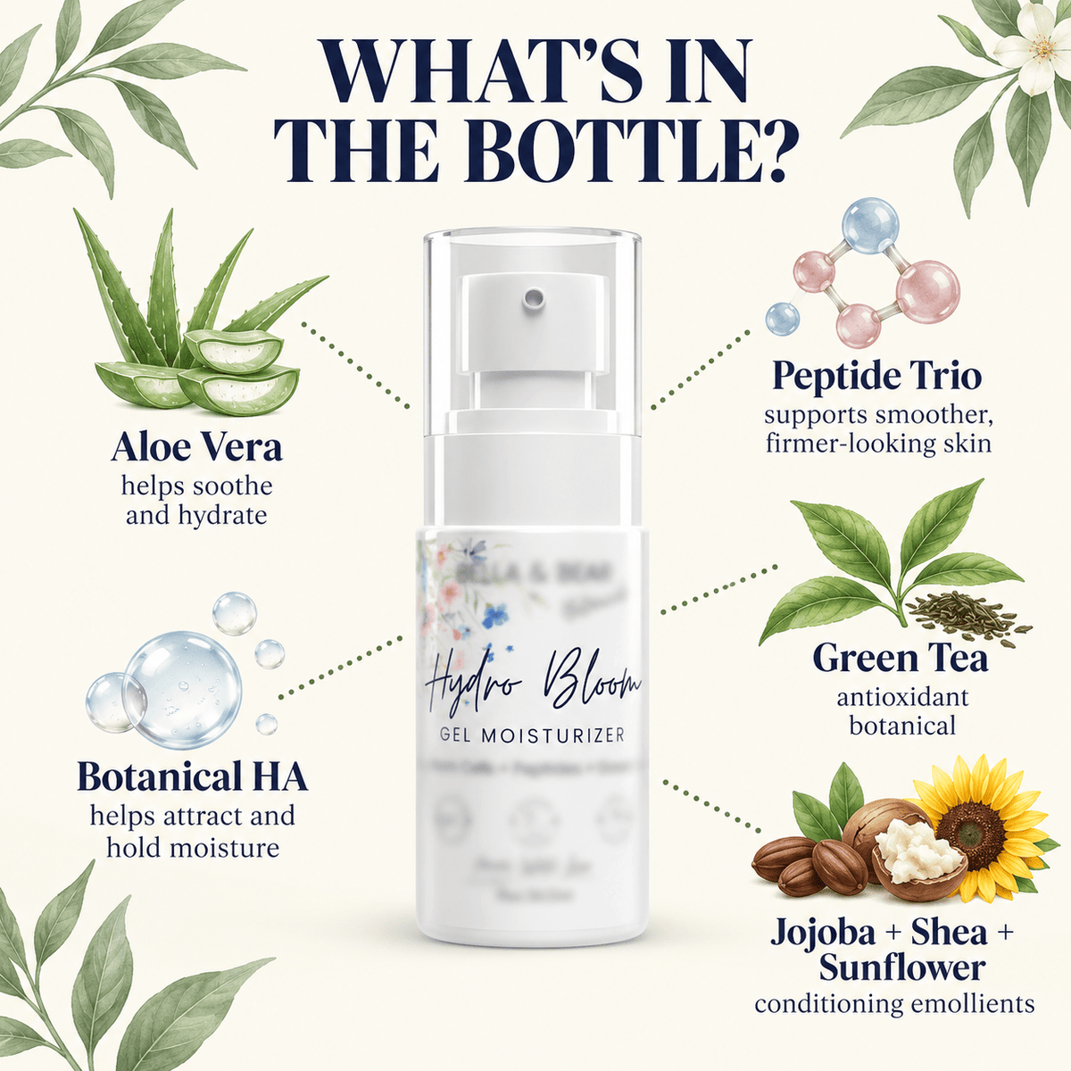 Bella & Bear Hydro Bloom key ingredients infographic