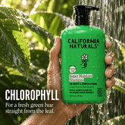 California Naturals Super Moisture Shampoo chlorophyll infographic
