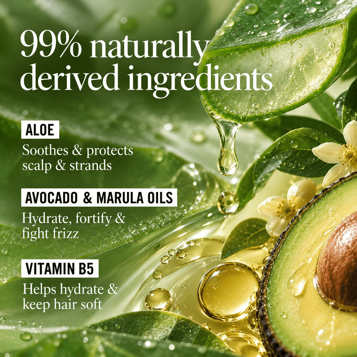 California Naturals Super Moisture Shampoo key ingredients infographic