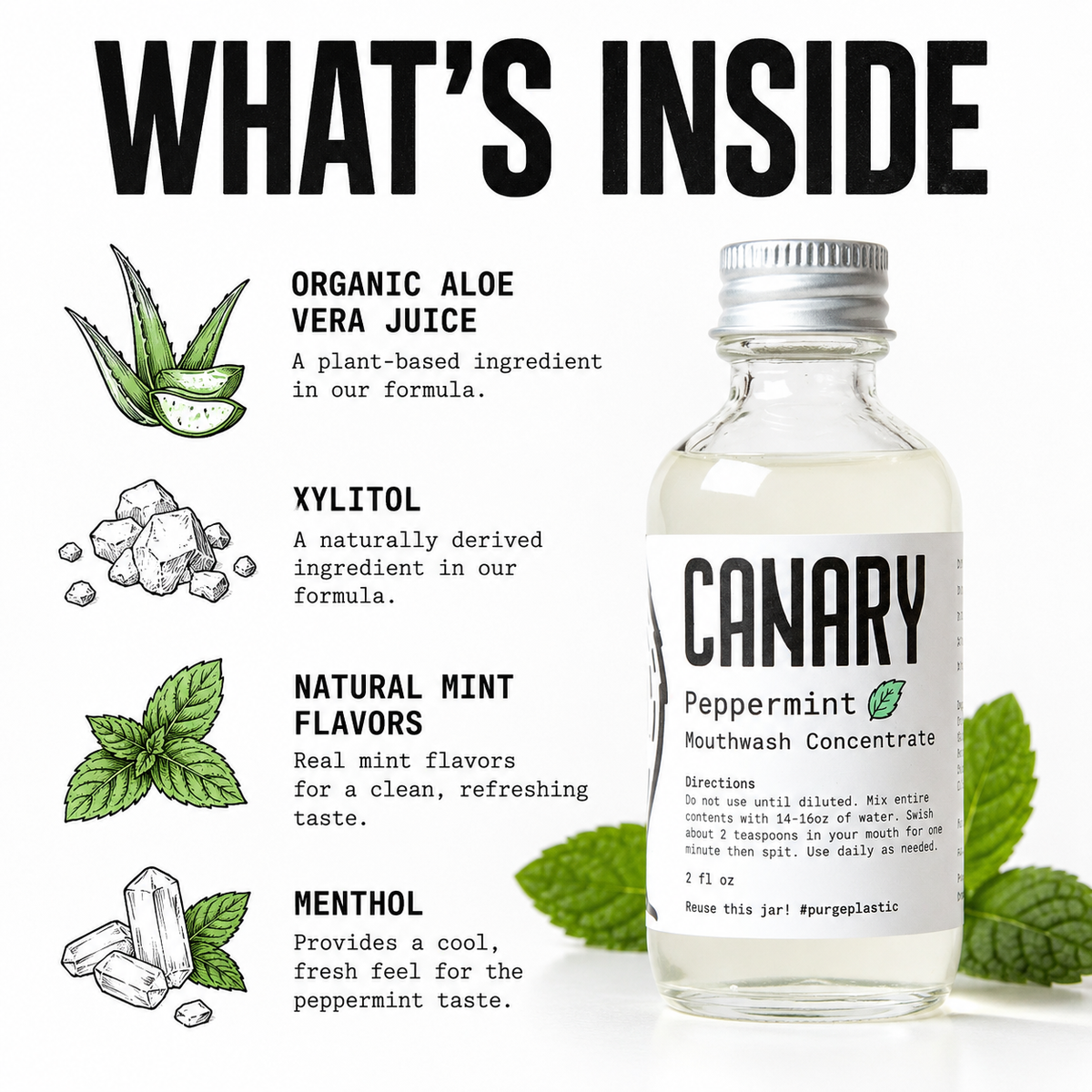 Canary mouthwash concentrate ingredients infographic