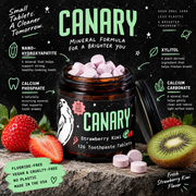 Canary Strawberry Kiwi Toothpaste Tablets mineral formula with nano hydroxyapatite xylitol and calcium minerals