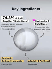 Advanced Snail Radiance Dual Essence official English detail panel 3