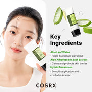 COSRX Aloe Soothing Sun Cream SPF50+ PA+++ English information panel 2
