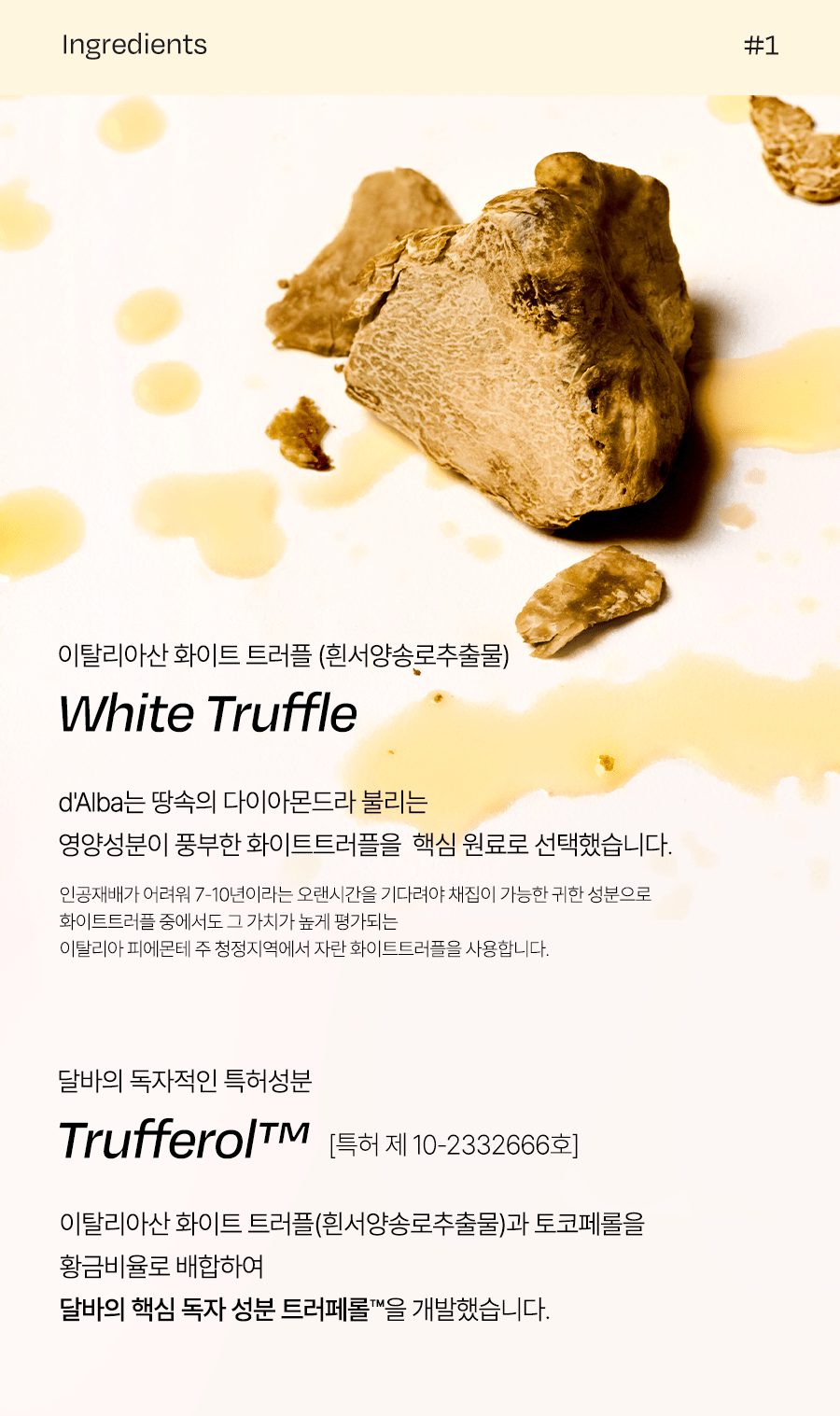 d'Alba White truffle and Trufferol original Korean source panel