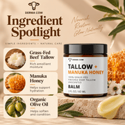 Derma Cow tallow balm ingredient spotlight