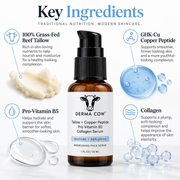 Derma Cow tallow serum key ingredients with grass-fed beef tallow GHK-Cu pro-vitamin B5 and collagen