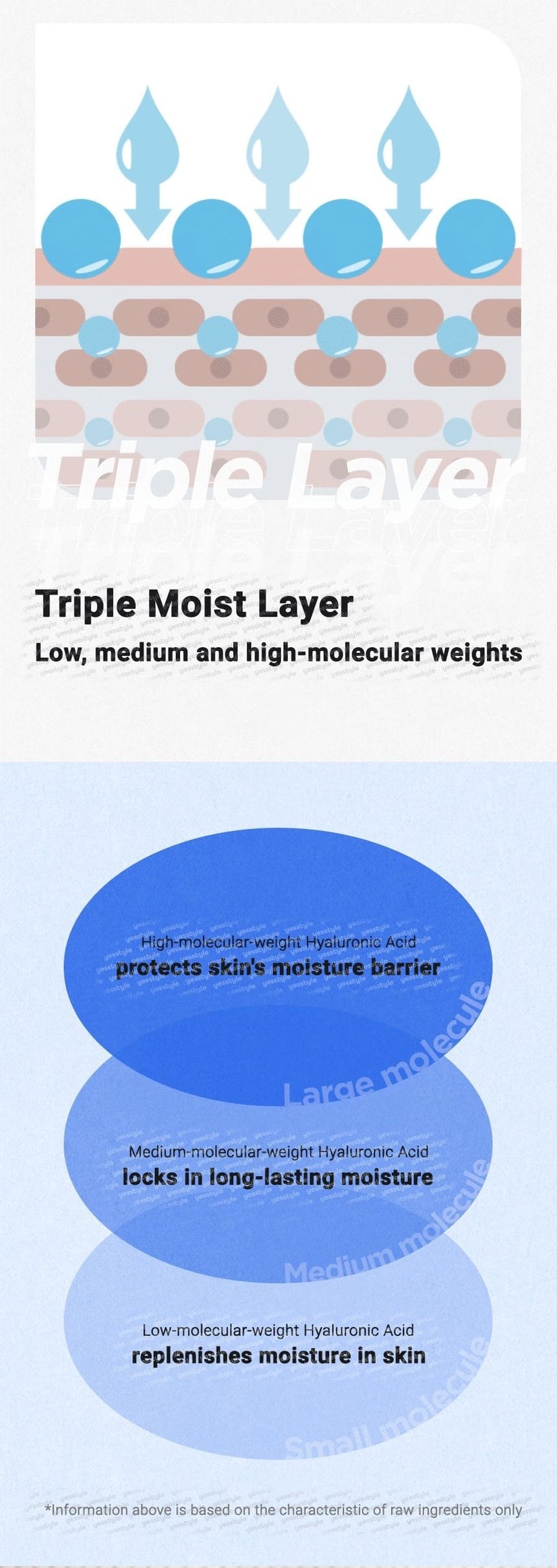 Isntree Hyaluronic Acid Moist Cream 100mL: hyaluronic acid molecular sizes