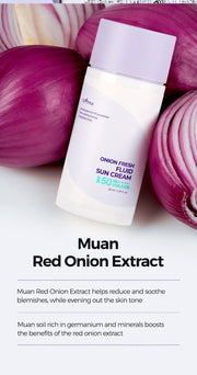 Isntree Onion Fresh Fluid Sun Cream SPF50+ PA++++ 50mL - Muan red onion background