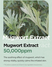 Isntree Mugwort Calming Clay Mask 200mL – Mugwort extract ingredient information