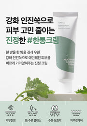 Isntree Mugwort Calming Cream 50mL – Lightweight mugwort cream benefits (Korean brand information)