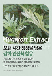Isntree Mugwort Calming Cream 50mL – Mugwort source (Korean brand information)