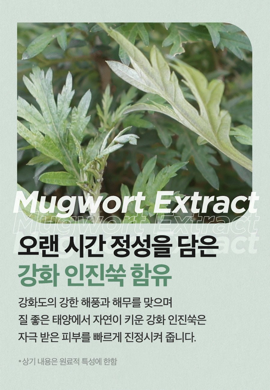 Isntree Mugwort Calming Cream 50mL – Mugwort source (Korean brand information)