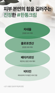 Isntree Mugwort Calming Cream 50mL – Mugwort ingredient properties and qualifiers (Korean brand information)