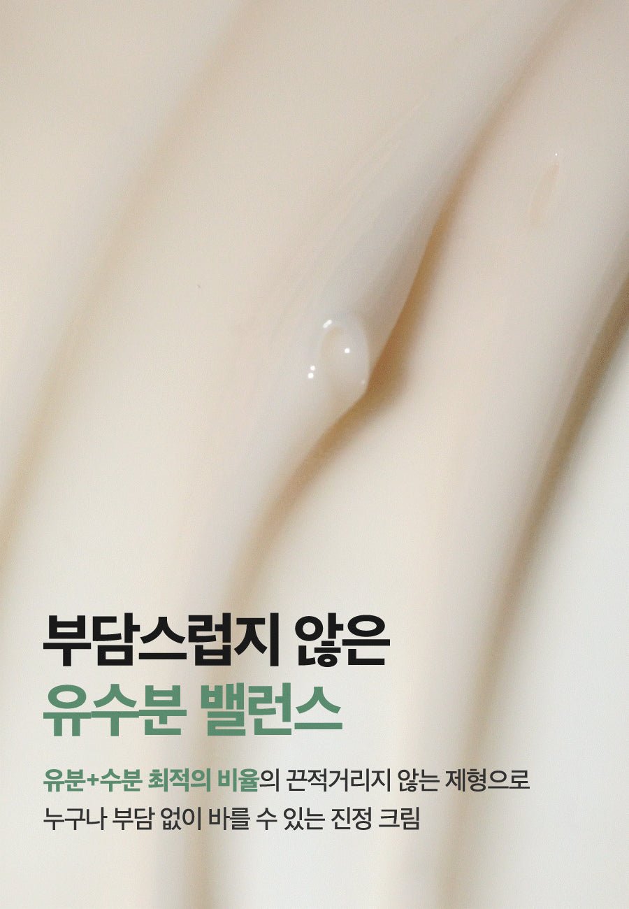 Isntree Mugwort Calming Cream 50mL – Oil and moisture balancing texture (Korean brand information)