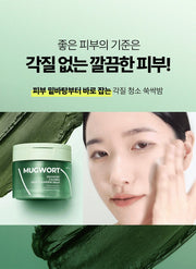 Isntree Mugwort Calming Deep Cleansing Balm 100mL – Melting sherbet cleansing texture (Korean brand information)