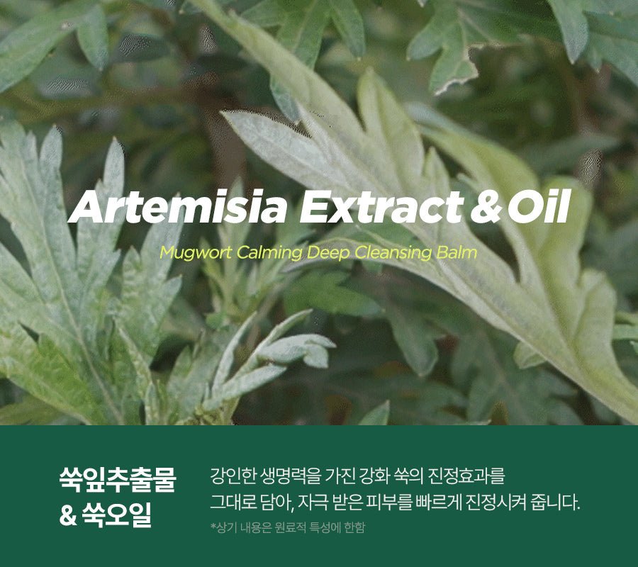 Isntree Mugwort Calming Deep Cleansing Balm 100mL – Mugwort oil and extract (Korean brand information)