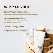 Isntree Yam Root Vegan Barrier Cream 80mL – Why yam root and ceramide synergy