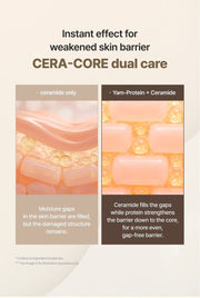 Isntree Yam Root Vegan Barrier Milky Toner 200mL – Cera-Core comparison and ingredient qualifiers