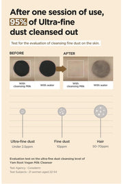 Isntree Yam Root Vegan Milk Cleanser 220mL – Fine dust cleansing study