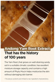 Isntree Yam Root Vegan Milk Cleanser 220mL – Andong yam source