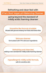 Isntree Yam Root Vegan pH-Balancing Cleanser 120mL – Four cleansing checkpoints