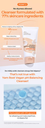 Isntree Yam Root Vegan pH-Balancing Cleanser 120mL – Glycerin and skincare ingredients
