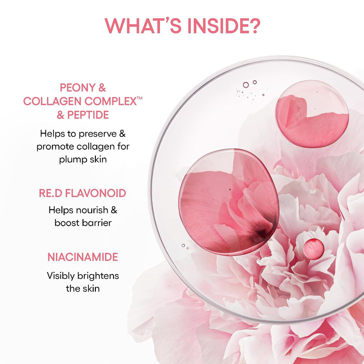 LANEIGE Bouncy & Firm Serum 30 mL peony collagen RE.D flavonoid and niacinamide ingredient explanations