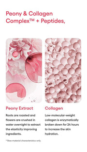 LANEIGE Bouncy & Firm Eye Sleeping Mask: peony collagen peptides manufacturer information