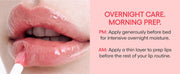 LANEIGE Overnight care and morning preparation directions