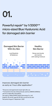 LANEIGE Water Bank Emulsion - barrier study