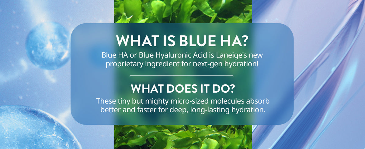 LANEIGE Water Bank Blue Hyaluronic Eye Cream product information 7