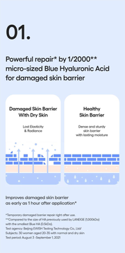 LANEIGE Water Bank Essence Toner for Normal to Dry Skin - barrier study