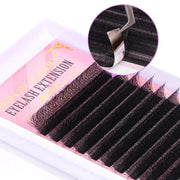 ARISON W Shaped & YY Lash Extensions 3D-8D