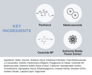 make p:rem Comfort Me Panthenol Moisture Essence source information panel 11