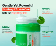 make p:rem Inteca Trouble Soothing Pad 70 pads 330mL – Amazon English aplus-pair-2-3