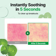make p:rem Inteca Soothing Toner product information and formula details