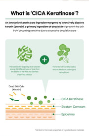 make p:rem Inteca Soothing Toner product information and formula details