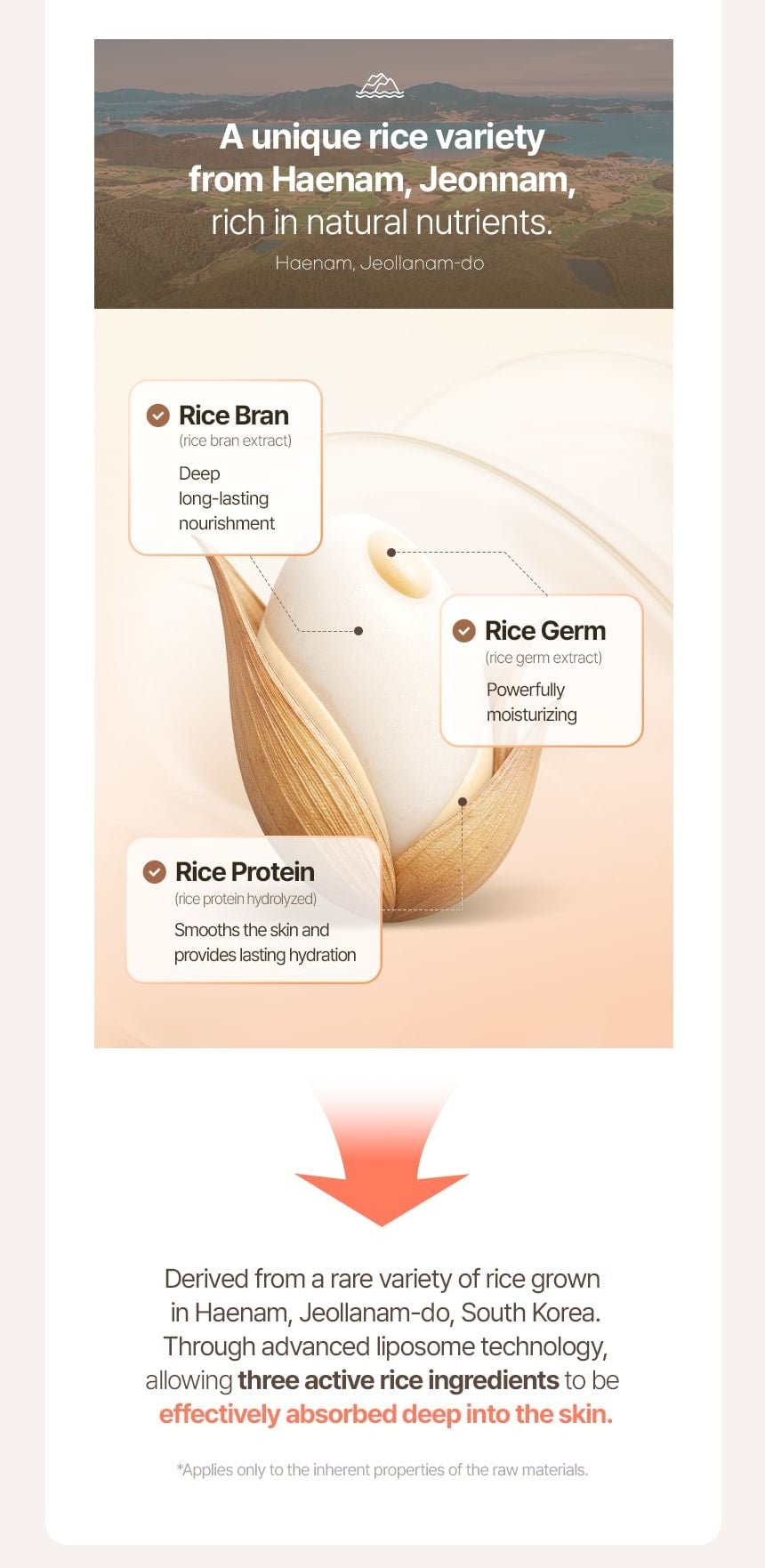 make p:rem Rice Liposome Toner rice sources